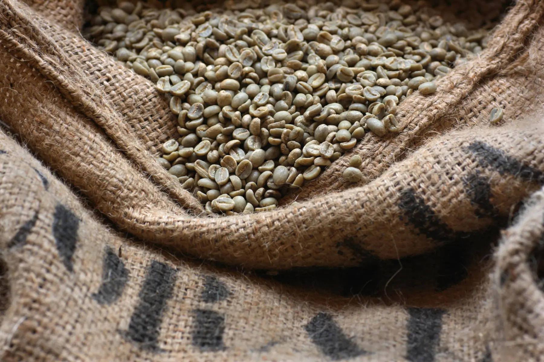 Grãos de café verde em saco de estopa